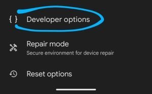 Develper options