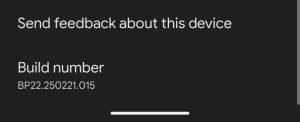 build number