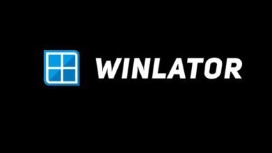 How to Downloading Winlator APK and OBB IPA Files Safely